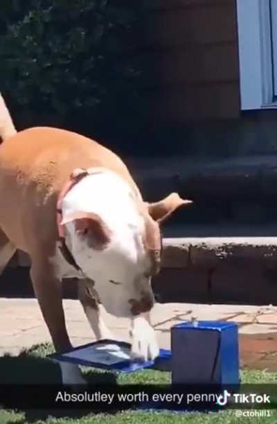 He does not understand