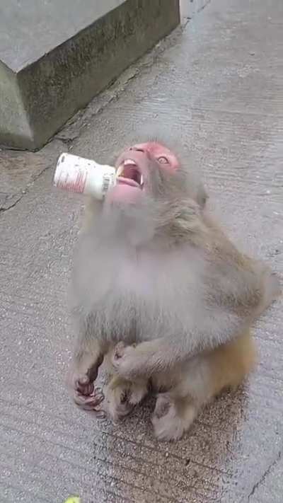 Nom nom nom