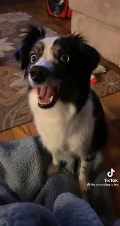 ?️??️