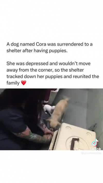reuniting a family