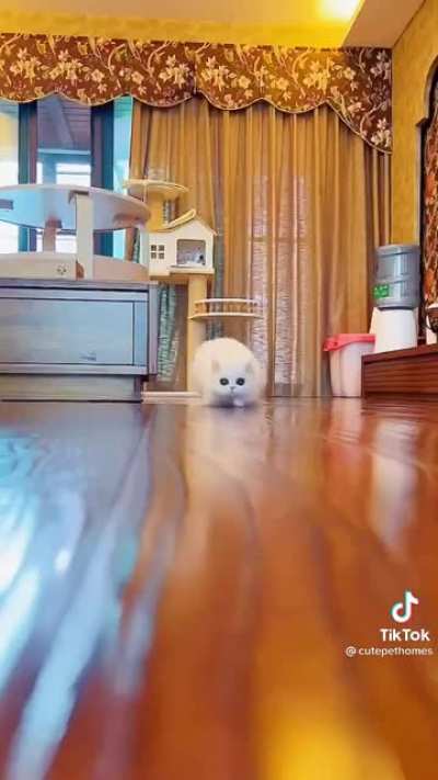 Oh lawd he comin