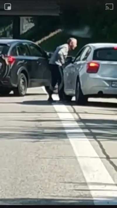 Swiss idiot in car