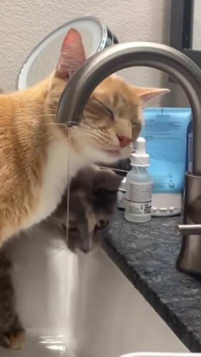 ?
