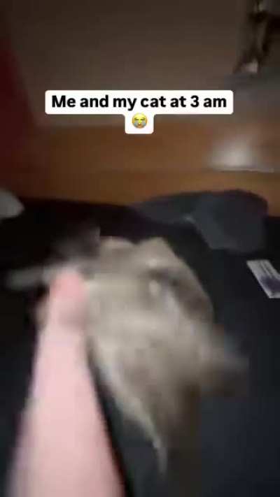 Every night ?