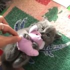 NO TAKE, ITS MINE