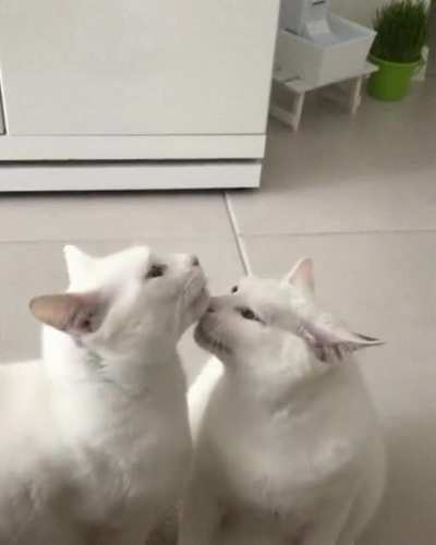 ?I Love You, You Love me..? I Hit You, You Hit me?