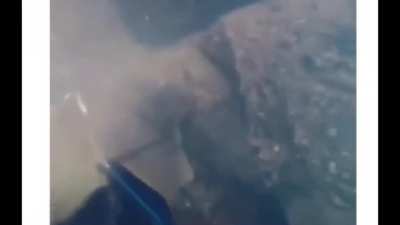 Deep sea treasure