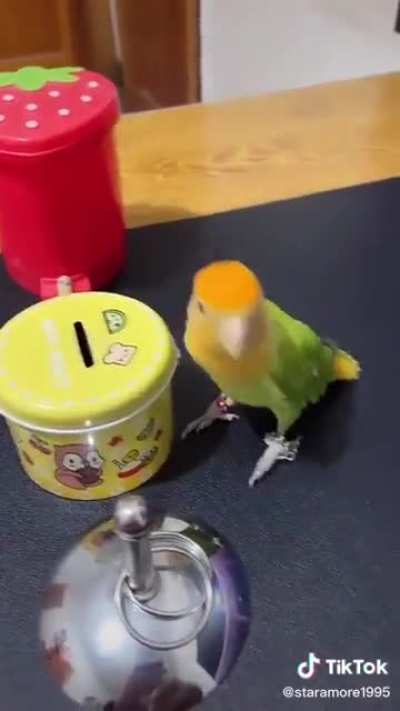 Maybe Maybe Maybe