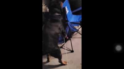 Taught buddy how to twerk ??