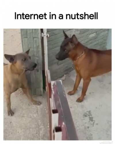 Makes sense