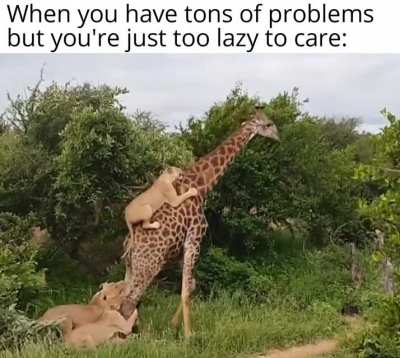 "I'll deal with them tomorrow"