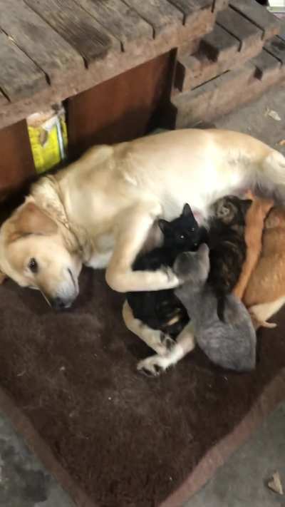 She finally got to be a mother