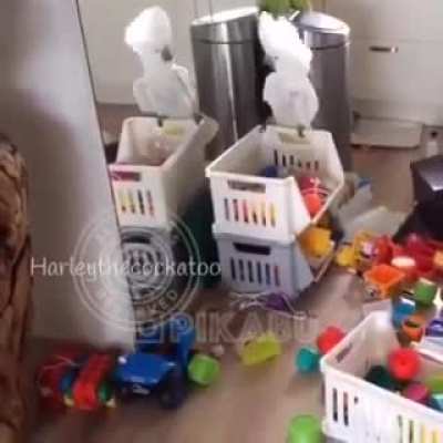To stay sane in quarantine