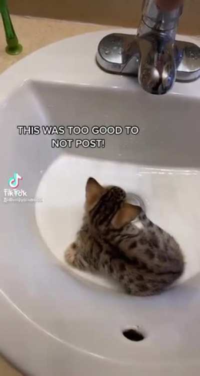 tiktok mfs... smh