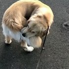 Gotcha!