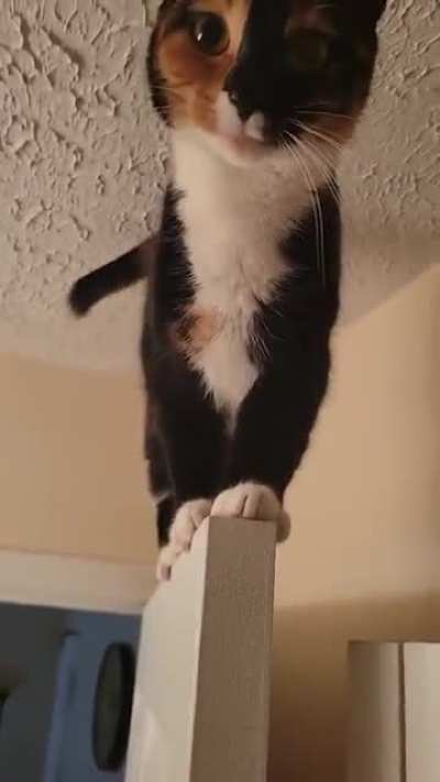 She has to be lifted down every single time