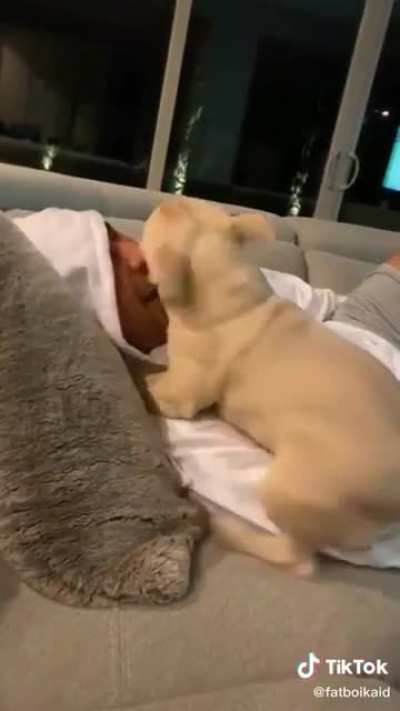 You must pet her