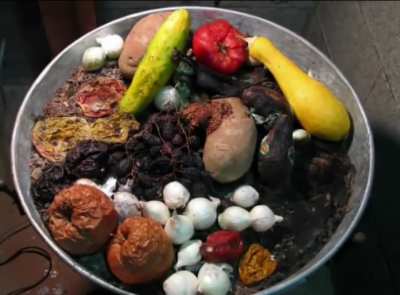 Fruit and Vegetable Decomposition Timelapse