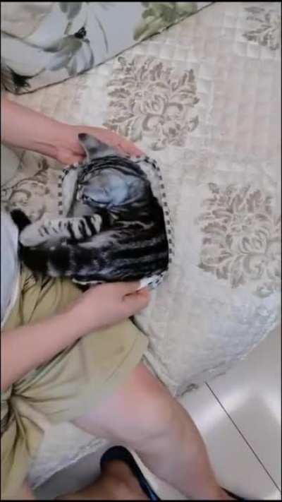 Tail is important
