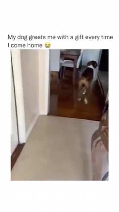 The way he wiggles his tail ?