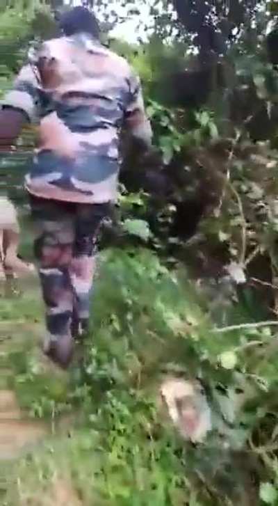 Tamil Nadu(India) Foresters rescued & united a baby elephant with the herd in Mudumalai. The baby elephant faithfully walks behind the foresters..