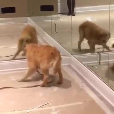 To be social