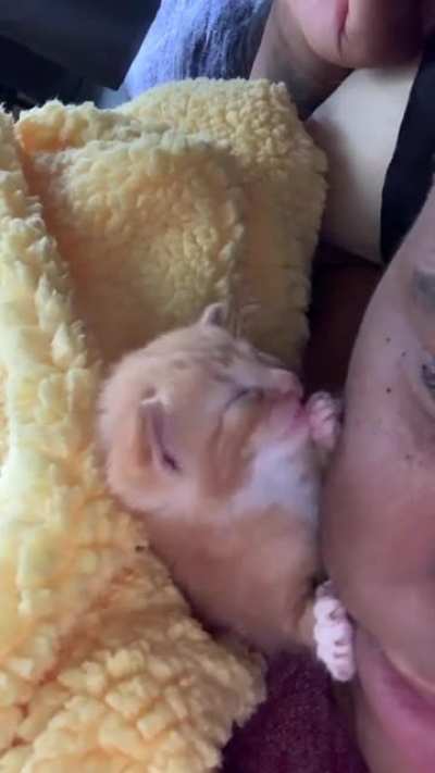 wait for the sneeze !! ??