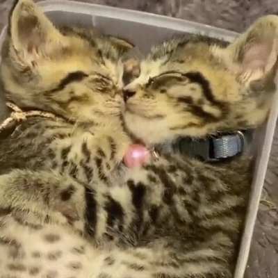 Hugs