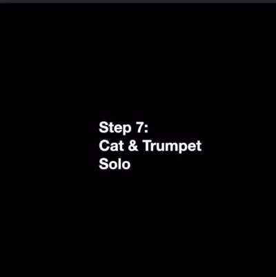 Dude makes a multi-chorus song from a meowing cat. ? ?