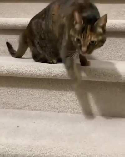 When just walking down the stairs is already boring
