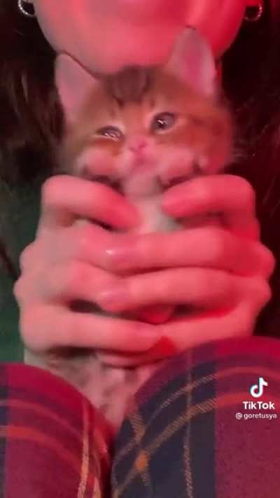 This is so adorable ? | credit: @goretusya on TikTok