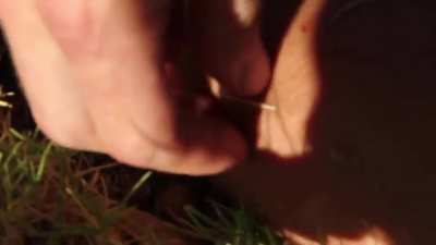 Physically cringe - Cactus body slam