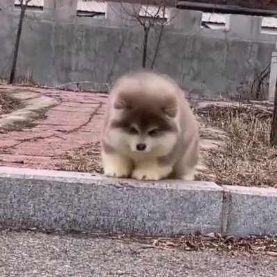 The Big Jump