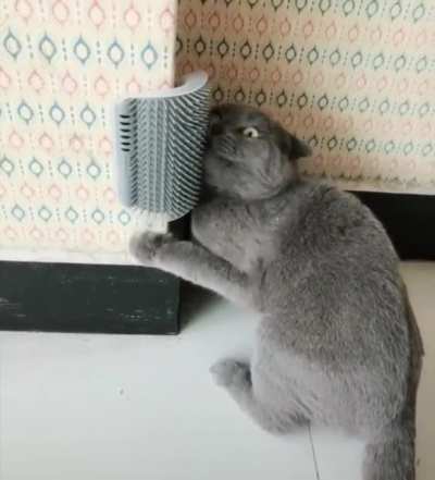 Thats the spot