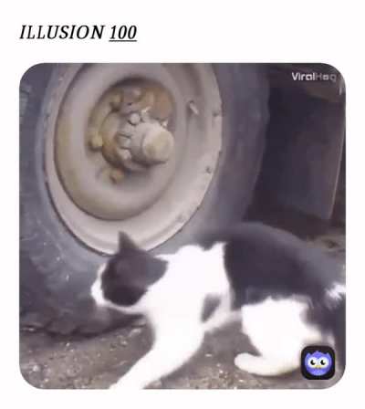 Big brain rat