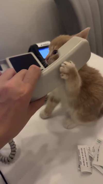 Future receptionist