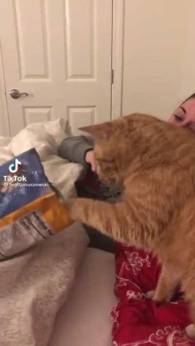 Poor cat ?