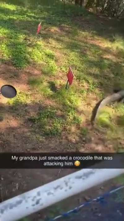 Frying pan vs Crocodile