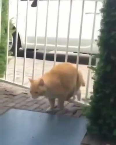 He mad at the gate ?