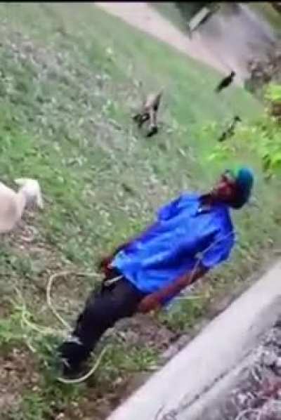 To shag a goat.