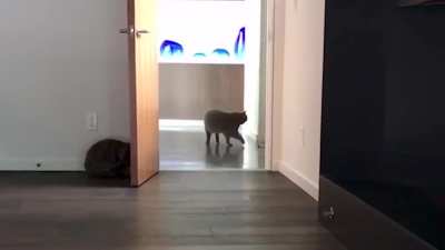 Outta Nowhere