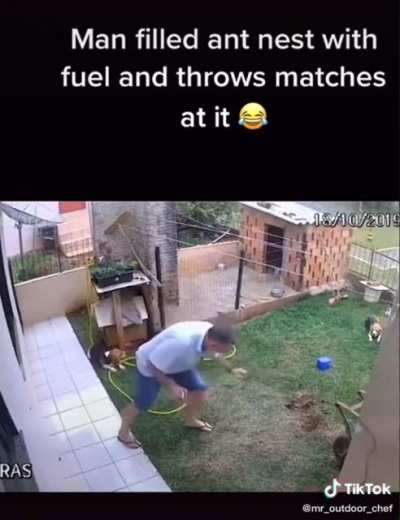 Man: 0 Ants: 1
