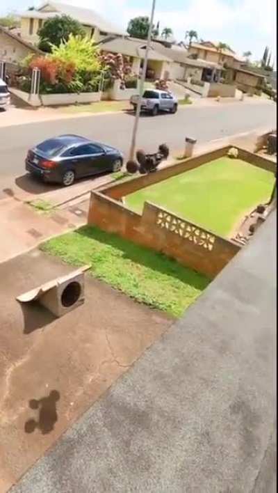 RC stunts are on a different level