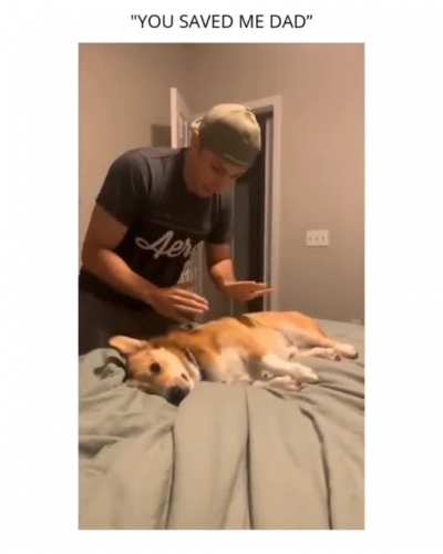 This Dog did one of the best acting of dying and coming back to life.