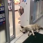 He was shocked