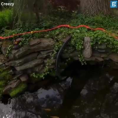 ? Rube Goldberg Machine With 70 Steps!