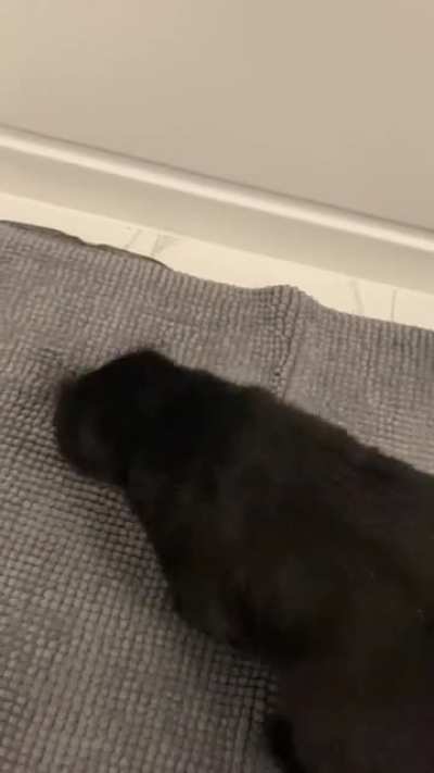 It’s her brush now.