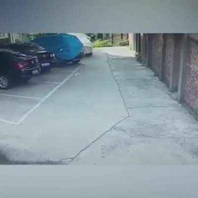 Parked the car ?