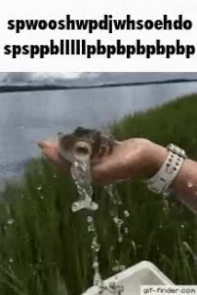 Spwoosh