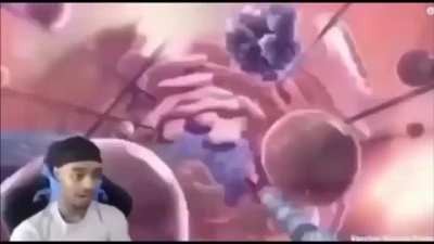 "Yo,_how_do_you_have_cameras_recording_someone's_cells?"